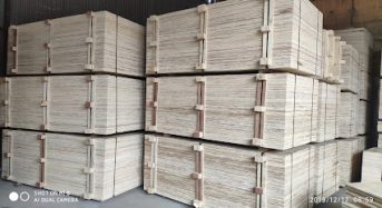 Địa Chỉ Vietnam Plywood Suppliers