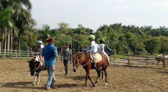 Địa Chỉ Hanoi Horse Riding Club