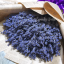 Địa Chỉ Thế giới Lavender – Hoa lavender khô Pháp