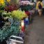 Địa Chỉ Flowers Market