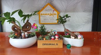 Địa Chỉ BAMA Garden – Cây cảnh mini