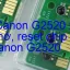 Chip Canon G2520 xóa lỗi tràn nhớ, nhấp nháy đèn