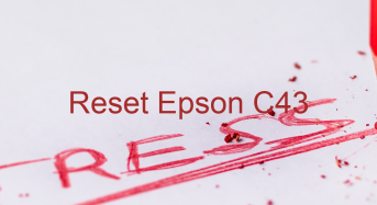 Key Reset Epson C43, Phần Mềm Reset Máy In Epson C43