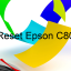 Key Reset Epson C80, Phần Mềm Reset Máy In Epson C80