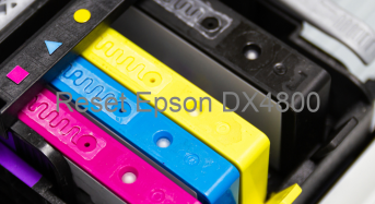 Key Reset Epson DX4800, Phần Mềm Reset Máy In Epson DX4800