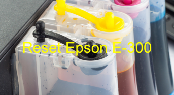 Key Reset Epson E-300, Phần Mềm Reset Máy In Epson E-300