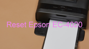 Key Reset Epson EC-4020, Phần Mềm Reset Máy In Epson EC-4020