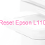 Key Reset Epson L110, Phần Mềm Reset Máy In Epson L110