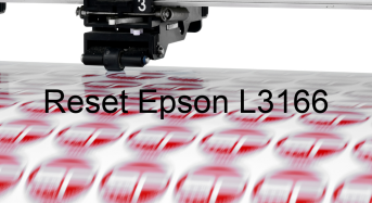 Key Reset Epson L3166, Phần Mềm Reset Máy In Epson L3166