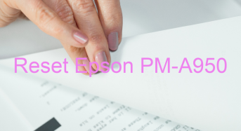 Key Reset Epson PM-A950, Phần Mềm Reset Máy In Epson PM-A950