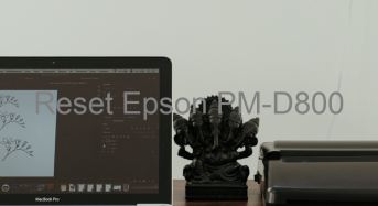 Key Reset Epson PM-D800, Phần Mềm Reset Máy In Epson PM-D800