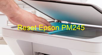 Key Reset Epson PM245, Phần Mềm Reset Máy In Epson PM245