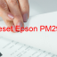 Key Reset Epson PM290, Phần Mềm Reset Máy In Epson PM290
