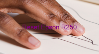 Key Reset Epson R250, Phần Mềm Reset Máy In Epson R250
