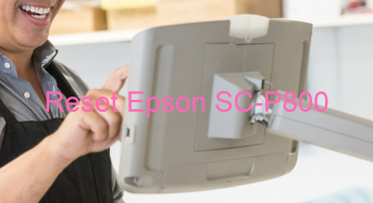 Key Reset Epson SC-P800, Phần Mềm Reset Máy In Epson SC-P800
