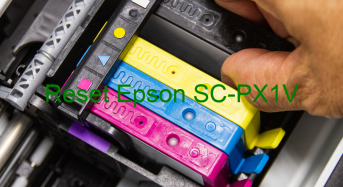 Key Reset Epson SC-PX1V, Phần Mềm Reset Máy In Epson SC-PX1V