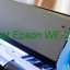 Key Reset Epson WF-2528, Phần Mềm Reset Máy In Epson WF-2528