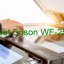 Key Reset Epson WF-2541, Phần Mềm Reset Máy In Epson WF-2541