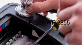 Key Reset Epson WF-2855, Phần Mềm Reset Máy In Epson WF-2855
