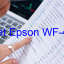 Key Reset Epson WF-4744, Phần Mềm Reset Máy In Epson WF-4744