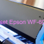 Key Reset Epson WF-6091, Phần Mềm Reset Máy In Epson WF-6091