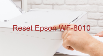 Key Reset Epson WF-8010, Phần Mềm Reset Máy In Epson WF-8010