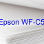 Key Reset Epson WF-C5790BA, Phần Mềm Reset Máy In Epson WF-C5790BA
