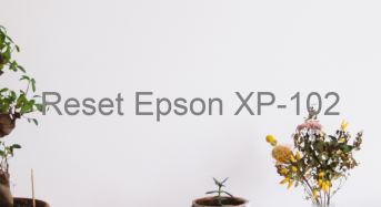 Key Reset Epson XP-102, Phần Mềm Reset Máy In Epson XP-102