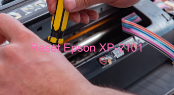 Key Reset Epson XP-2101, Phần Mềm Reset Máy In Epson XP-2101