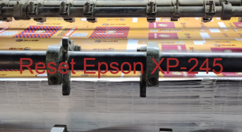 Key Reset Epson XP-245, Phần Mềm Reset Máy In Epson XP-245