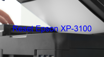 Key Reset Epson XP-3100, Phần Mềm Reset Máy In Epson XP-3100