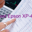 Key Reset Epson XP-401, Phần Mềm Reset Máy In Epson XP-401