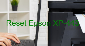 Key Reset Epson XP-443, Phần Mềm Reset Máy In Epson XP-443
