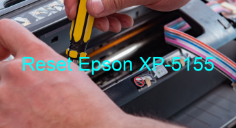 Key Reset Epson XP-5155, Phần Mềm Reset Máy In Epson XP-5155