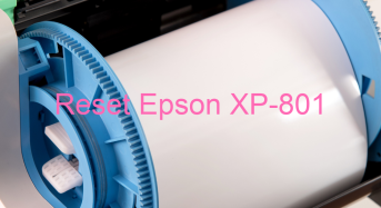 Key Reset Epson XP-801, Phần Mềm Reset Máy In Epson XP-801