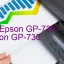 Tải Driver Epson GP-730, Phần Mềm Reset Epson GP-730