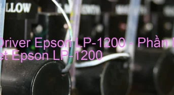 Tải Driver Epson LP-1200, Phần Mềm Reset Epson LP-1200