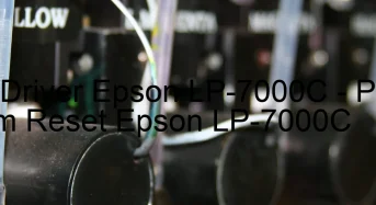Tải Driver Epson LP-7000C, Phần Mềm Reset Epson LP-7000C