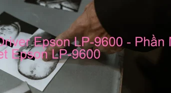 Tải Driver Epson LP-9600, Phần Mềm Reset Epson LP-9600