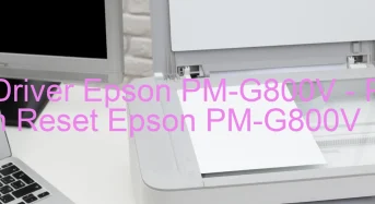 Tải Driver Epson PM-G800V, Phần Mềm Reset Epson PM-G800V
