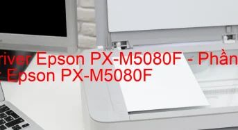 Tải Driver Epson PX-M5080F, Phần Mềm Reset Epson PX-M5080F