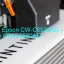 Epson CW-C6520AGのドライバーのダウンロード,Epson CW-C6520AG のリセットソフトウェアのダウンロード