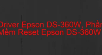 Tải Driver Scan Epson DS-360W, Phần Mềm Reset Scanner Epson DS-360W