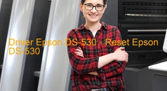 Epson DS-530のドライバーのダウンロード,Epson DS-530 のリセットソフトウェアのダウンロード