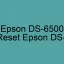 Tải Driver Scan Epson DS-6500, Phần Mềm Reset Scanner Epson DS-6500
