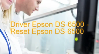Epson DS-6500のドライバーのダウンロード,Epson DS-6500 のリセットソフトウェアのダウンロード
