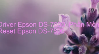 Tải Driver Scan Epson DS-7500, Phần Mềm Reset Scanner Epson DS-7500