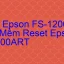 Tải Driver Scan Epson FS-1200ART, Phần Mềm Reset Scanner Epson FS-1200ART