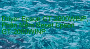 Tải Driver Scan Epson GT-2000WINP, Phần Mềm Reset Scanner Epson GT-2000WINP