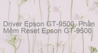 Tải Driver Scan Epson GT-9500, Phần Mềm Reset Scanner Epson GT-9500